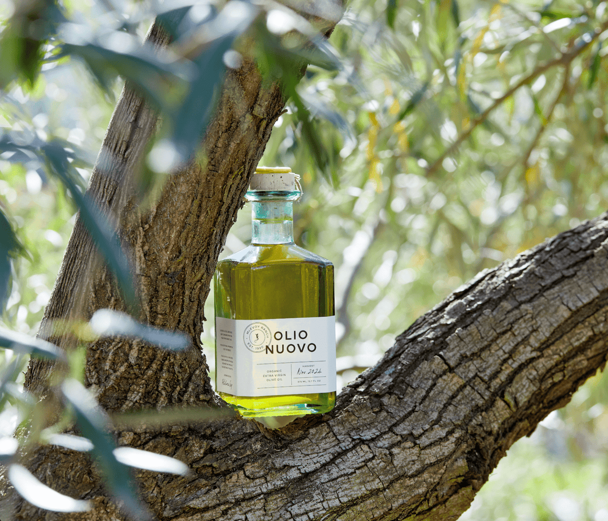 Organic Olio Nuovo