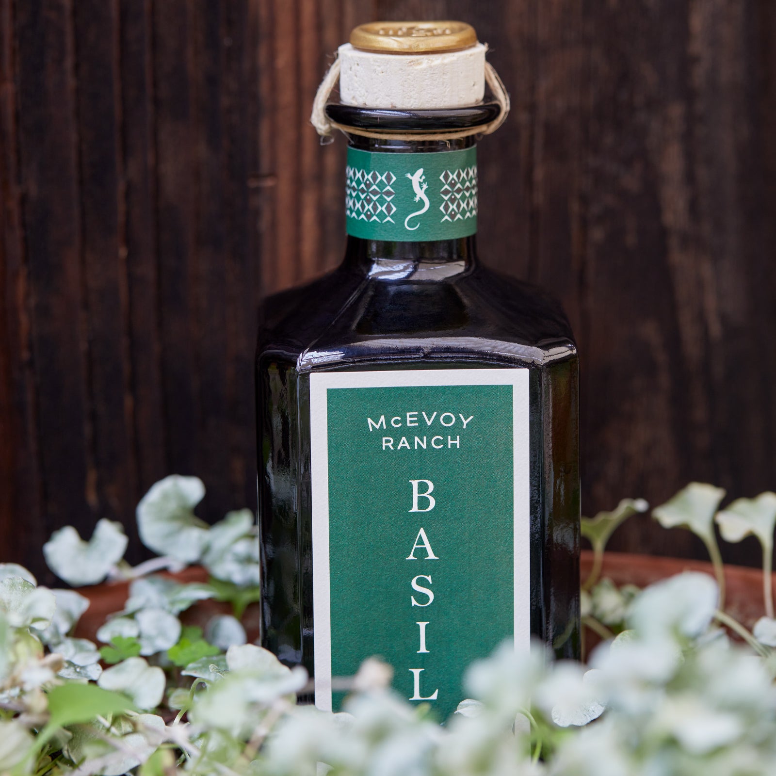 Basil Olive Oil - McEvoy Ranch